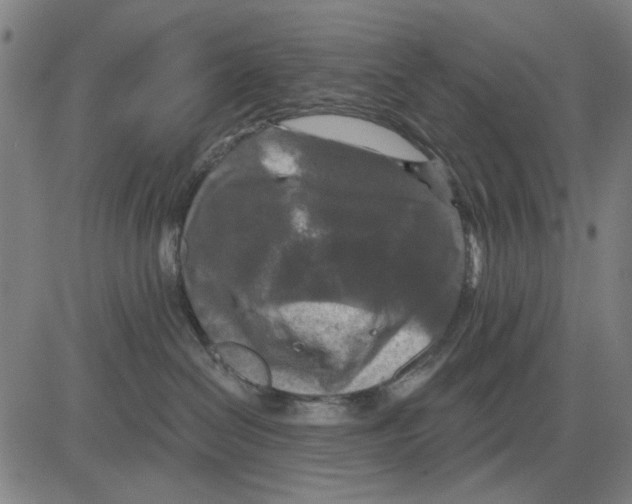 X0000083650286200703121753