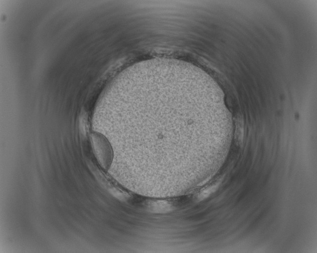 X0000083650287200703121753