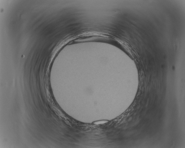 X0000083650289200703121752