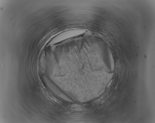 X0000083650290200703121752