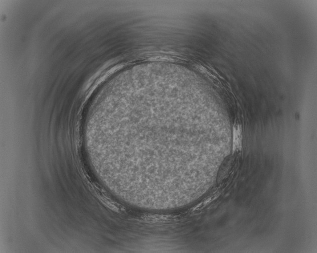 X0000083650291200703121752