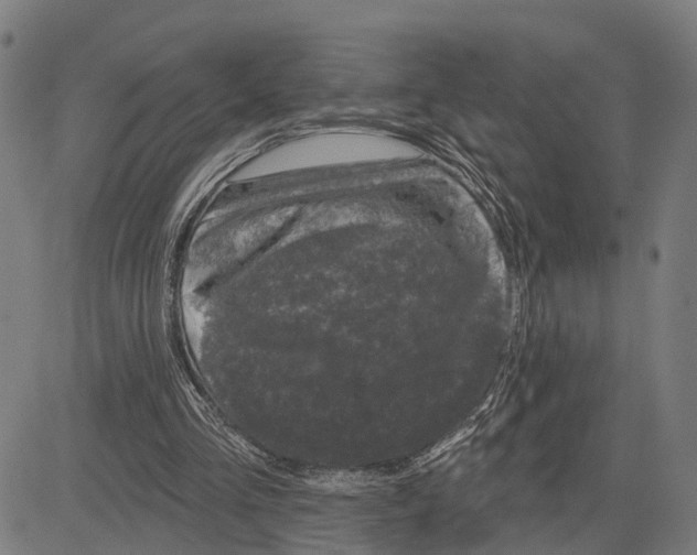 X0000083650293200703121752