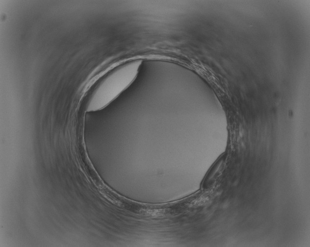 X0000083650295200703121752