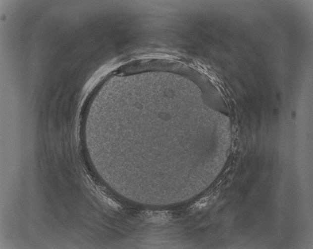 X0000083650296200703121752