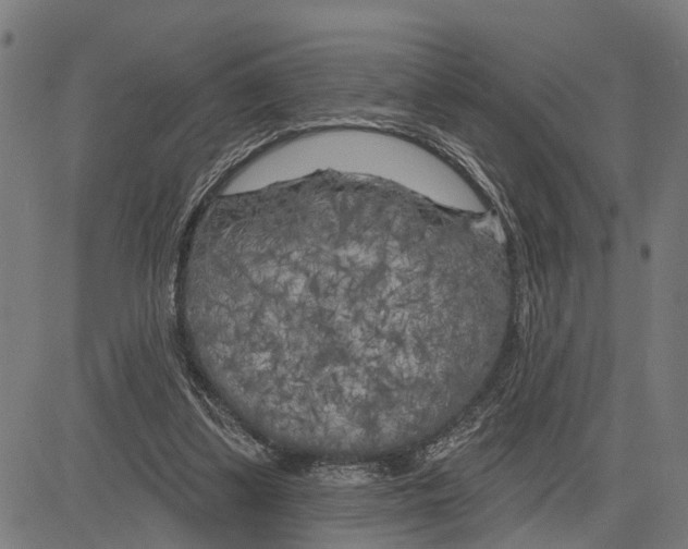 X0000083650299200703121752