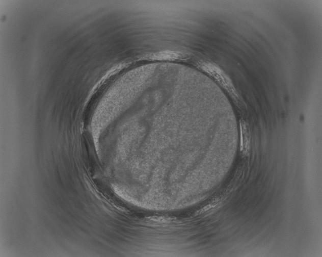 X0000083650300200703121752