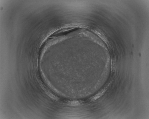 X0000083650301200703121752