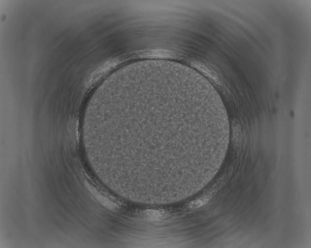 X0000083650302200703121752