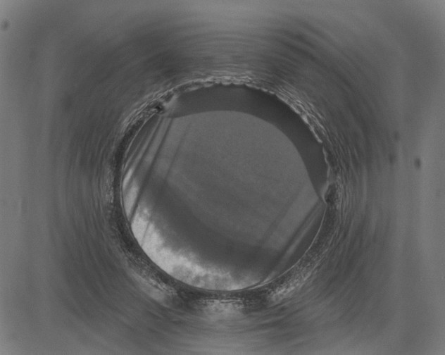 X0000083650303200703121752