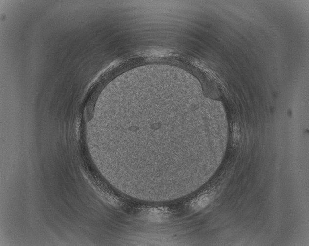 X0000083650304200703121752