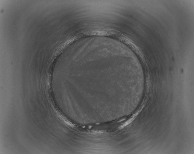 X0000083650305200703121752