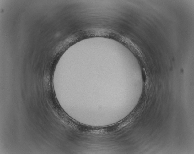 X0000083650306200703121752