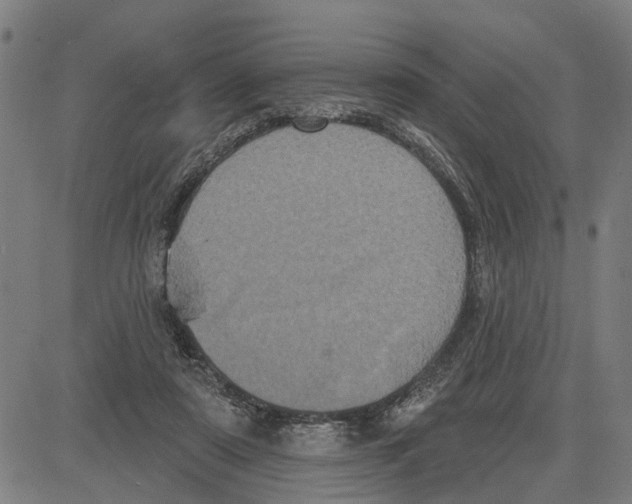 X0000083650307200703121752