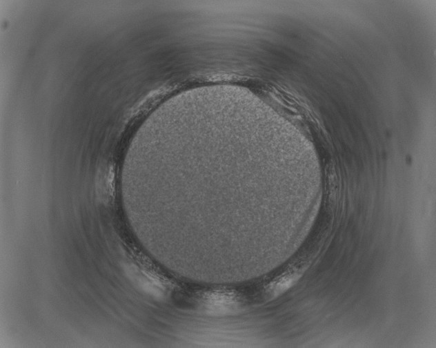 X0000083650308200703121752