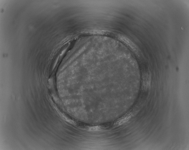 X0000083650309200703121752