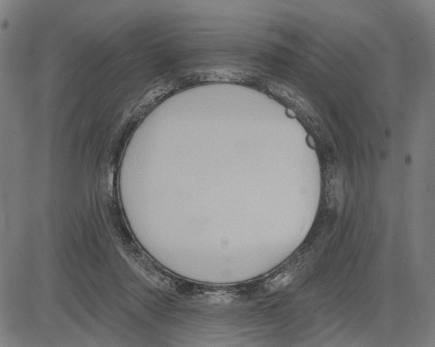 X0000083650310200703121752