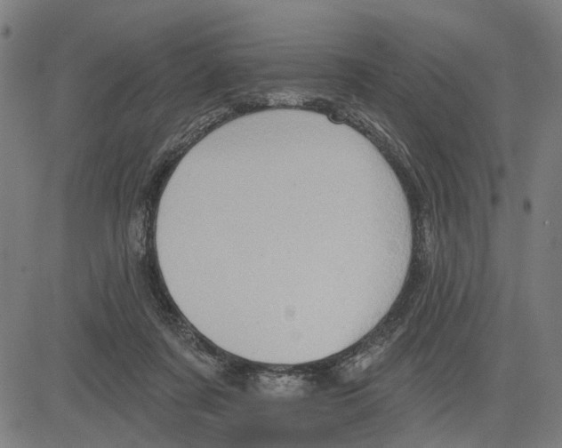 X0000083650311200703121752