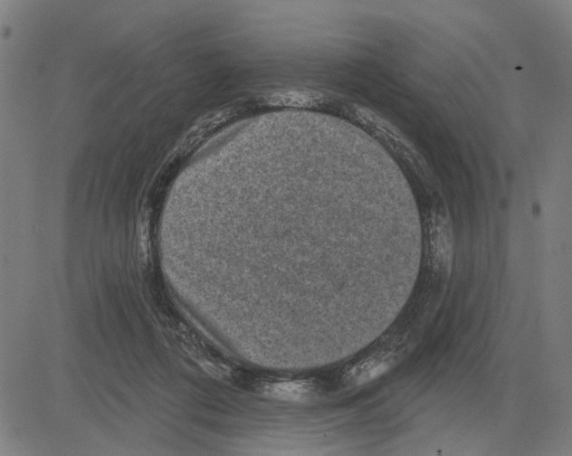 X0000083650312200703121752