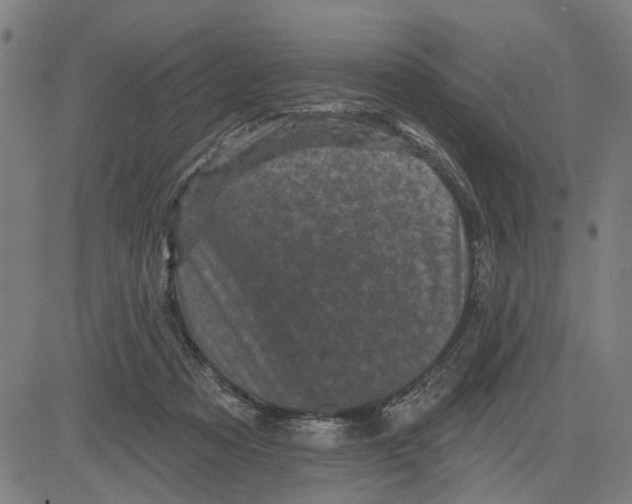 X0000083650313200703121752