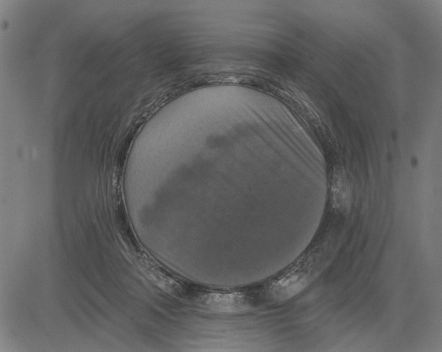 X0000083650314200703121752