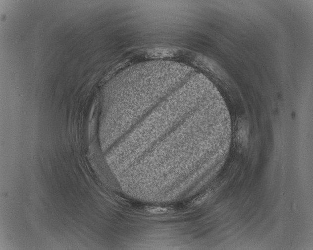 X0000083650315200703121752