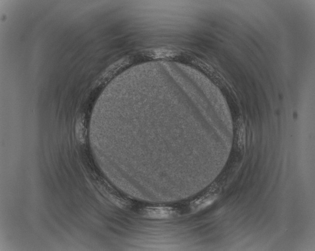 X0000083650316200703121752