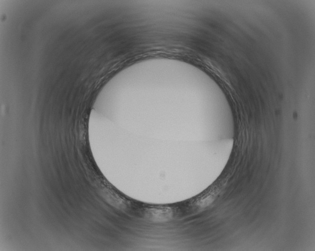 X0000083650317200703121752