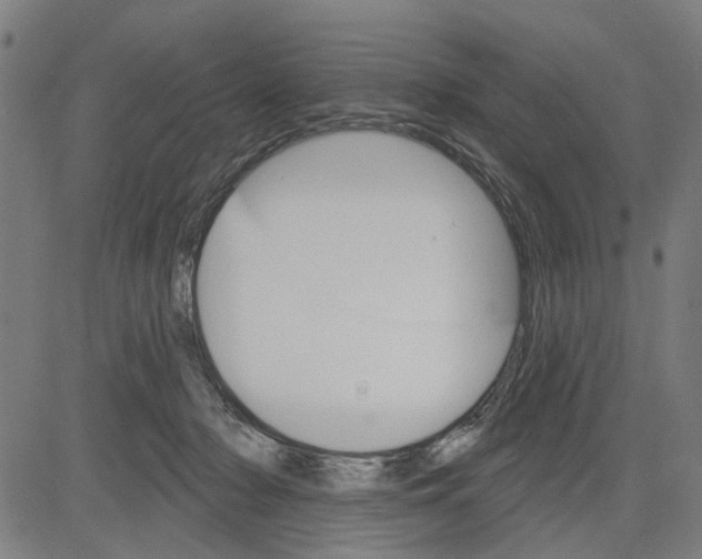 X0000083650318200703121752