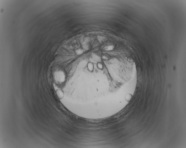 X0000083650319200703121752