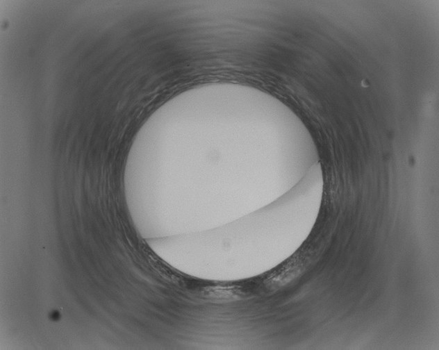 X0000083650320200703121752