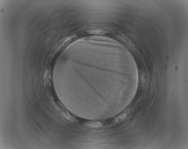 X0000083650322200703121752