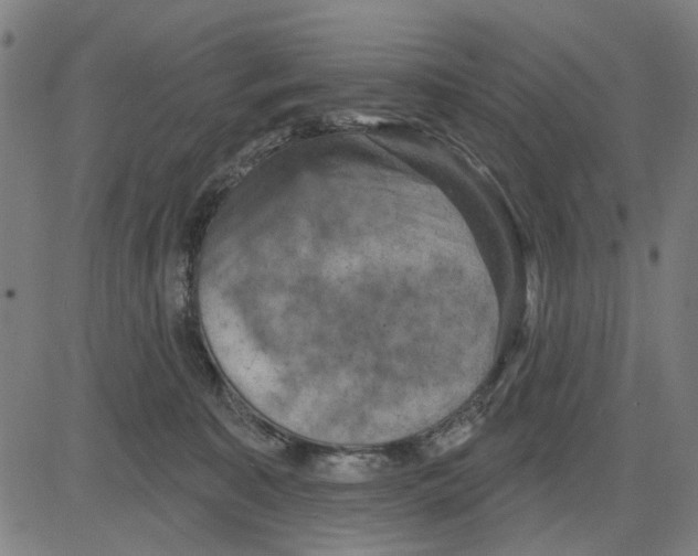 X0000083650323200703121752