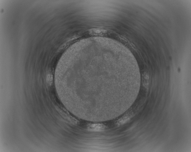 X0000083650324200703121752