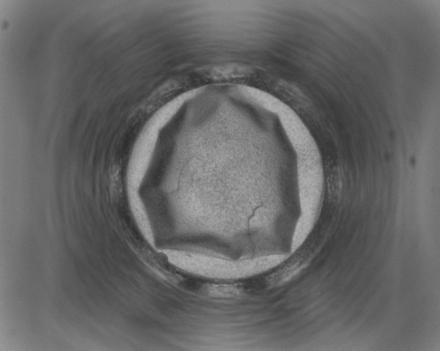 X0000083650327200703121752