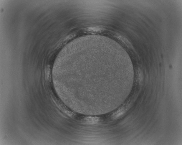 X0000083650328200703121752