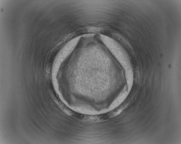 X0000083650329200703121752