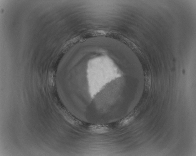 X0000083650331200703121752