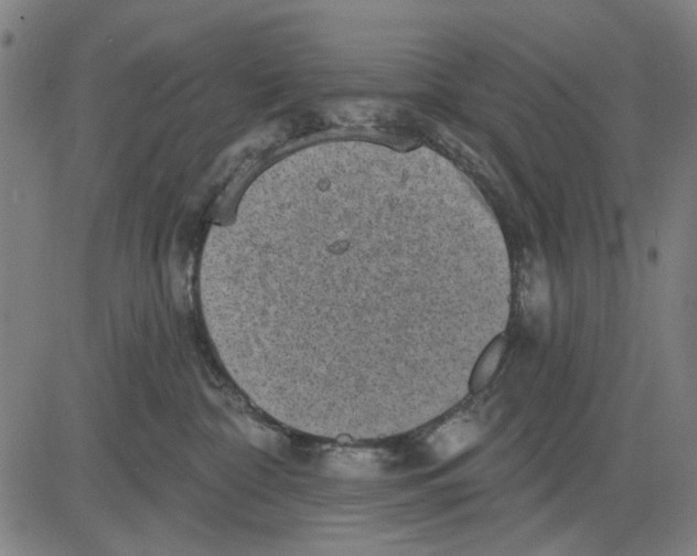 X0000083650332200703121752