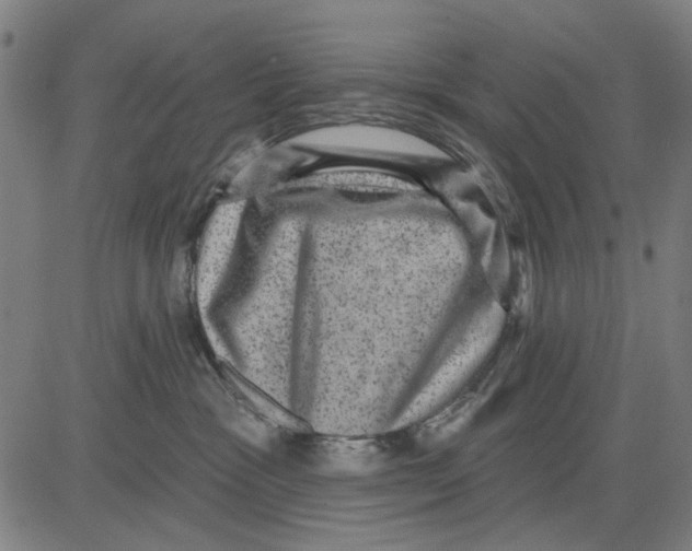 X0000083650333200703121752