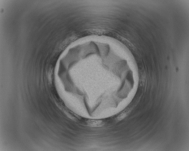 X0000083650334200703121752