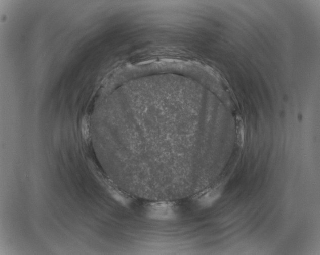 X0000083650335200703121752