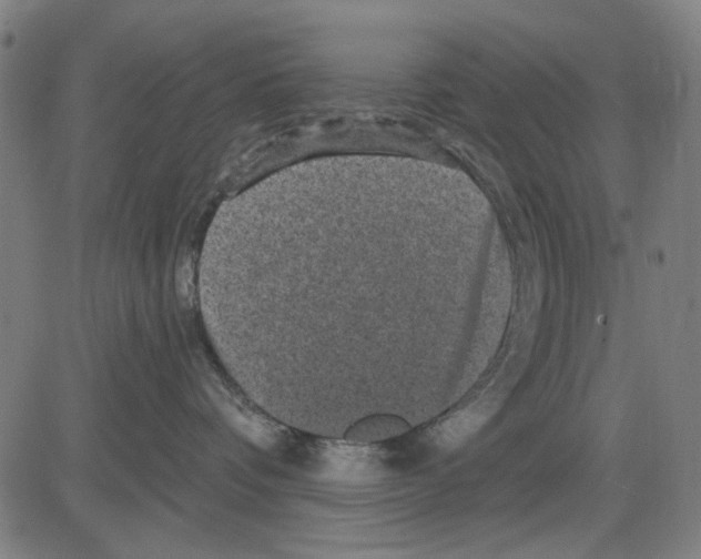 X0000083650336200703121752