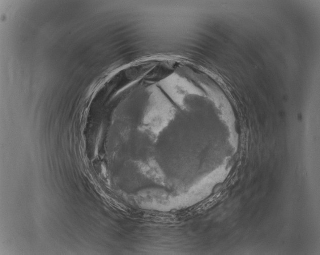 X0000083650337200703121751