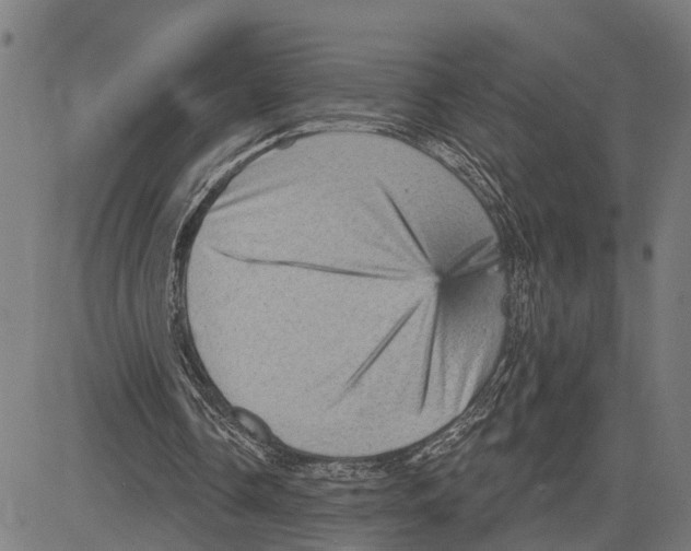 X0000083650338200703121751