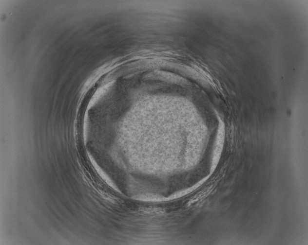 X0000083650340200703121751