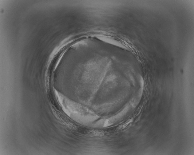 X0000083650343200703121751