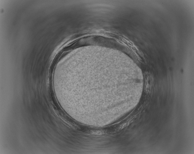 X0000083650344200703121751