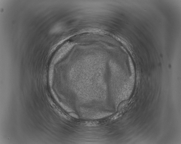 X0000083650345200703121751