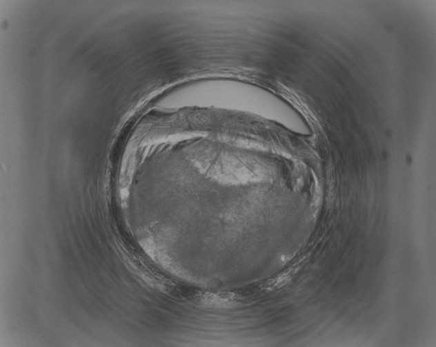 X0000083650346200703121751