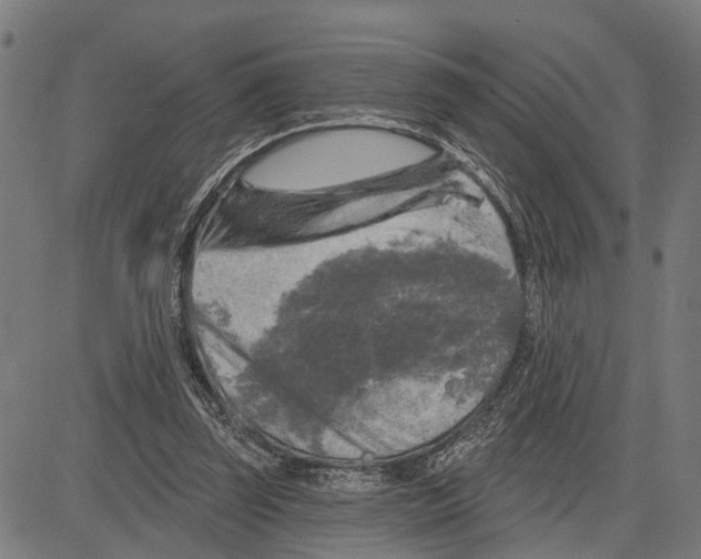 X0000083650347200703121751